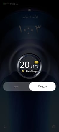 شاحن أصلي • ١٢٠ واط • جسر ديالى
