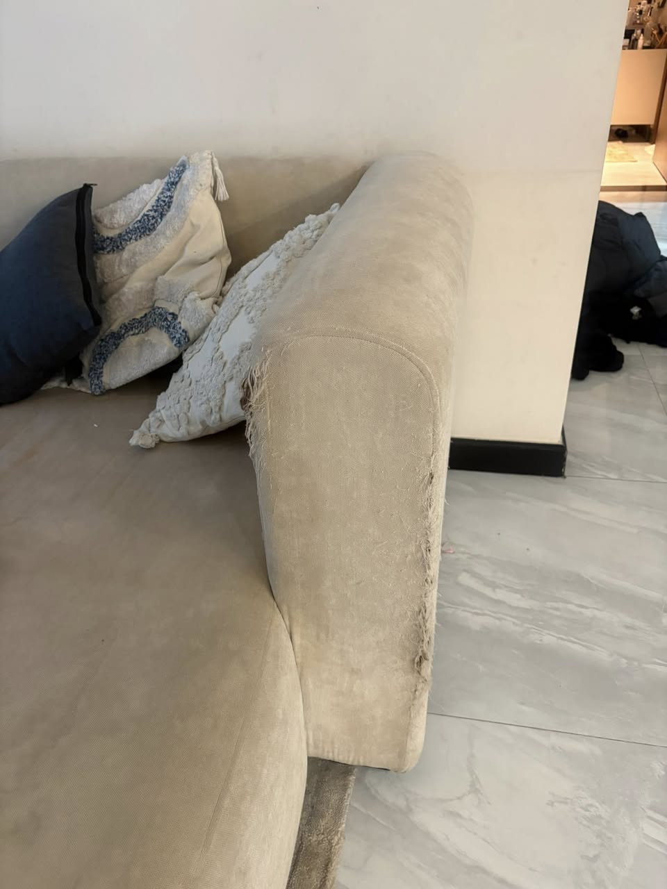 تخم قنفات للبيع  بس من جانب متمزق شويه   مكاني المنصور


**إذا كنت صاحب هذا الإعلان وتريد حذفه لأي سبب، رجاءا أرسل رسالة إلى الدعم الفني**