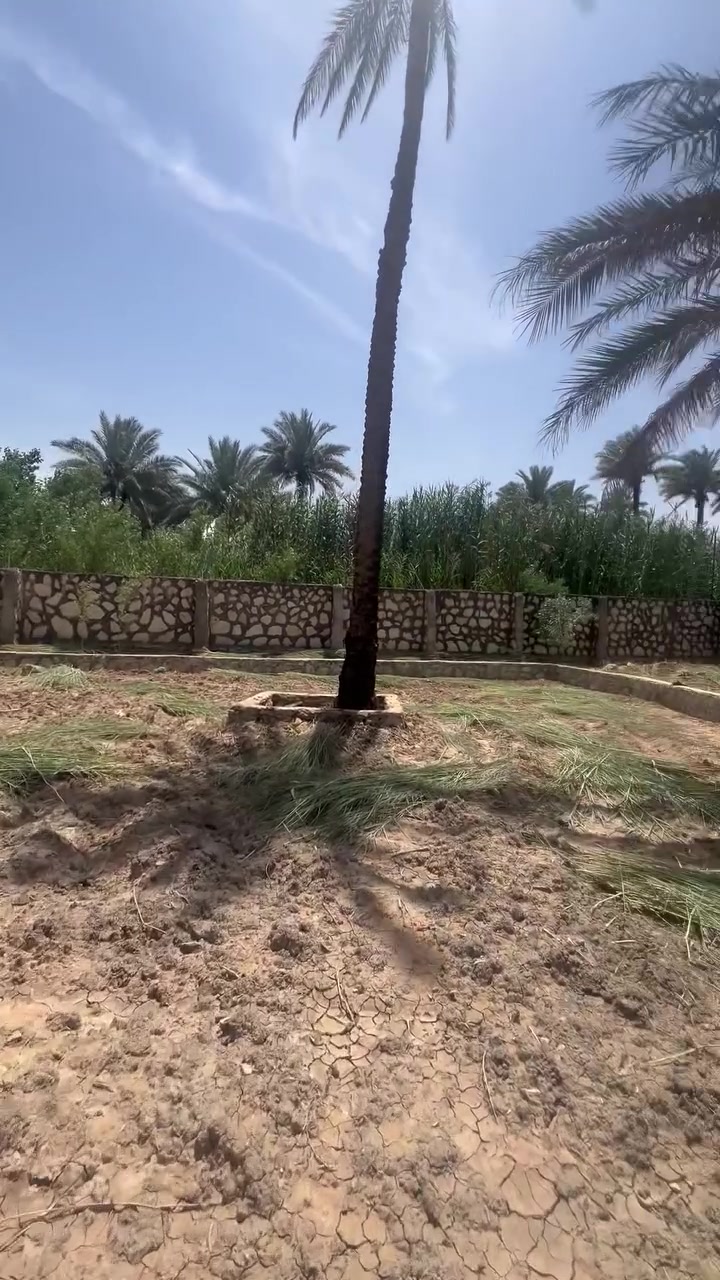 السلام عليكم قطعه الارض المساحه 800 متر واقع حال 625 متر بالمكاتبه طابو زراعي فلاحه ملاجه✅✅✅

واجه ٣٠ متر 🌴⛩️🌆

كافه الخدمات متوفره ماء اساله وماء سقي وكهرباء 🌆🌴

العنوان كربلاء منطقه العميشيه  تبعد عن طريق بغداد ٦٠٠ متر خلف جامعه الزهراء مدخل مطبخ العتبه 🌴🛣️📞🌆

للأستفسار آكثر الأتصال على أرقآم التأليه 
0️⃣7️⃣7️⃣2️⃣5️⃣9️⃣8️⃣1️⃣9️⃣4️⃣5️⃣ابو باقر
0️⃣7️⃣8️⃣0️⃣8️⃣9️⃣9️⃣8️⃣8️⃣1️⃣8️⃣

وكذالك نستقبل جميع العروض لديكم في كافه مناطق كربلاء المقدسه طابو صرف و الطابو زراعي 🌆⛩️📞🛣️
 @إشارة
  #الجميع


**إذا كنت صاحب هذا الإعلان وتريد حذفه لأي سبب، رجاءا أرسل رسالة إلى الدعم الفني**