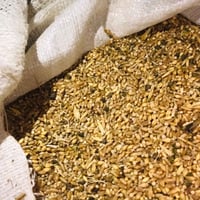 حنطه علفيه • آخر طن • باقي