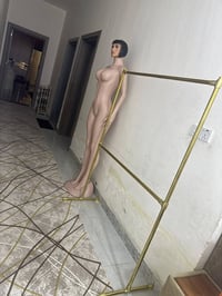 اركيلة • ستاند • بغداد الحرية