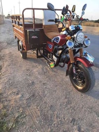 ستوته • ٢٠١٠ • رقم انگليزي