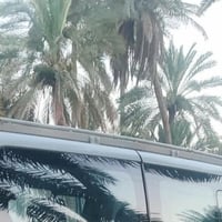 سلة • ديوانية • قضاء الشامية