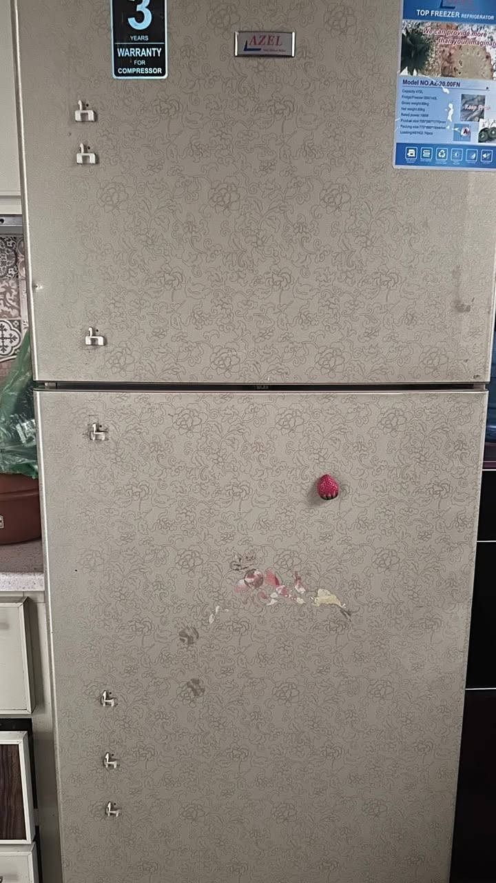 ثلاجه حجم كبير استعمال على نضافه لون بيجي تجميد فول ب ٢٥٠


**إذا كنت صاحب هذا الإعلان وتريد حذفه لأي سبب، رجاءا أرسل رسالة إلى الدعم الفني**