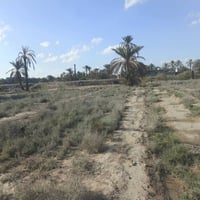 حله خلف جامعة بابل • ١٥٠٠م • كهرباء وماء