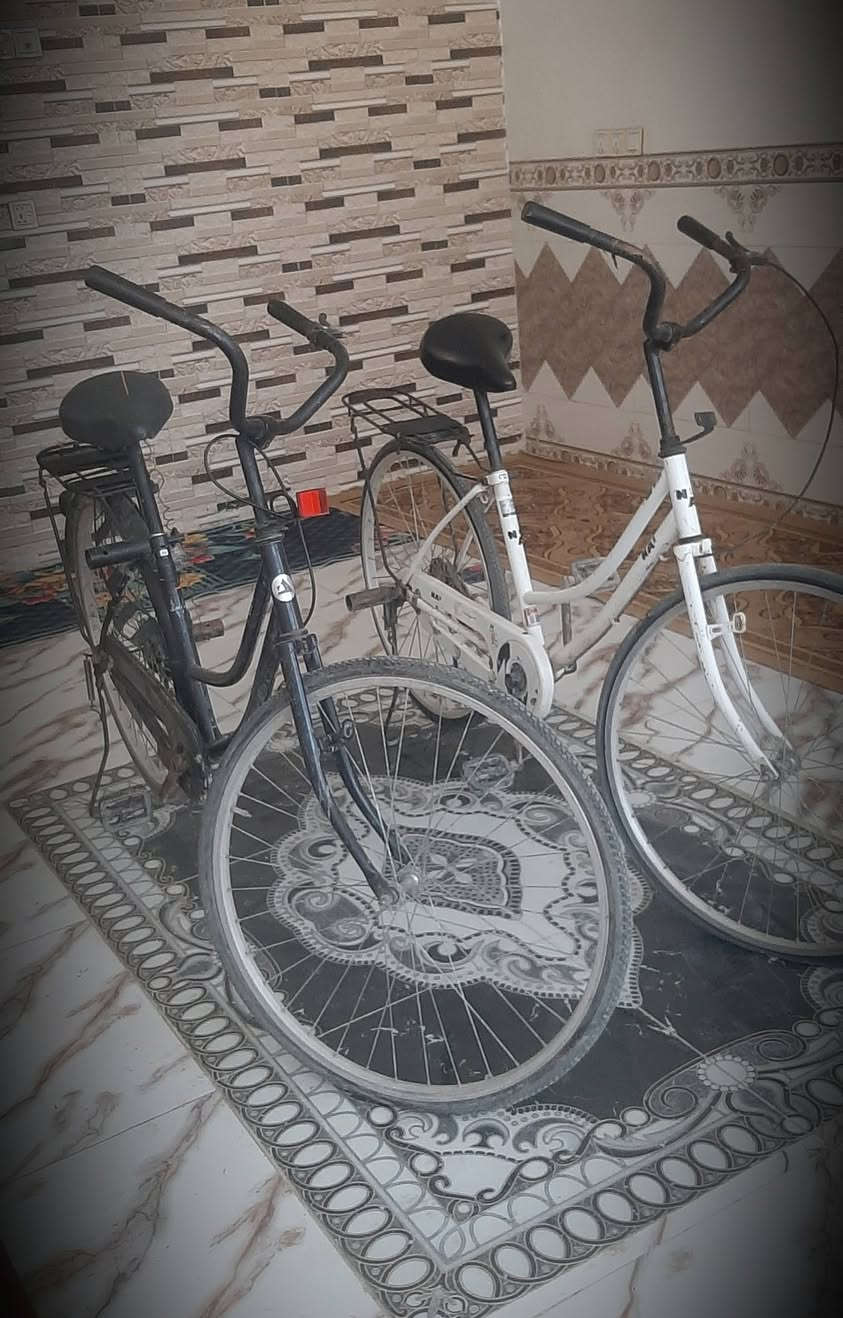 البيع شراي يجي خاص


**إذا كنت صاحب هذا الإعلان وتريد حذفه لأي سبب، رجاءا أرسل رسالة إلى الدعم الفني**