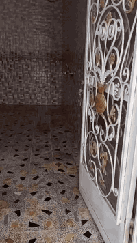 حي الشهداء • بيت للإيجار • غرفتين نوم