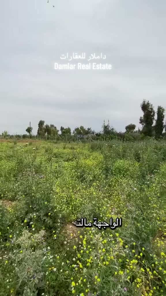 دونم وربع سند 25 للبيع 
الموقع : صلاح الدين طوزخورماتو
طريق الحولي الطوز من جهة السايلو
المساحة : 3,145 متر مربع 
الواجهة : 53 متر

للتواصل : *********** -*********** 📞

#طوز #طوزخورماتو #عقارات
