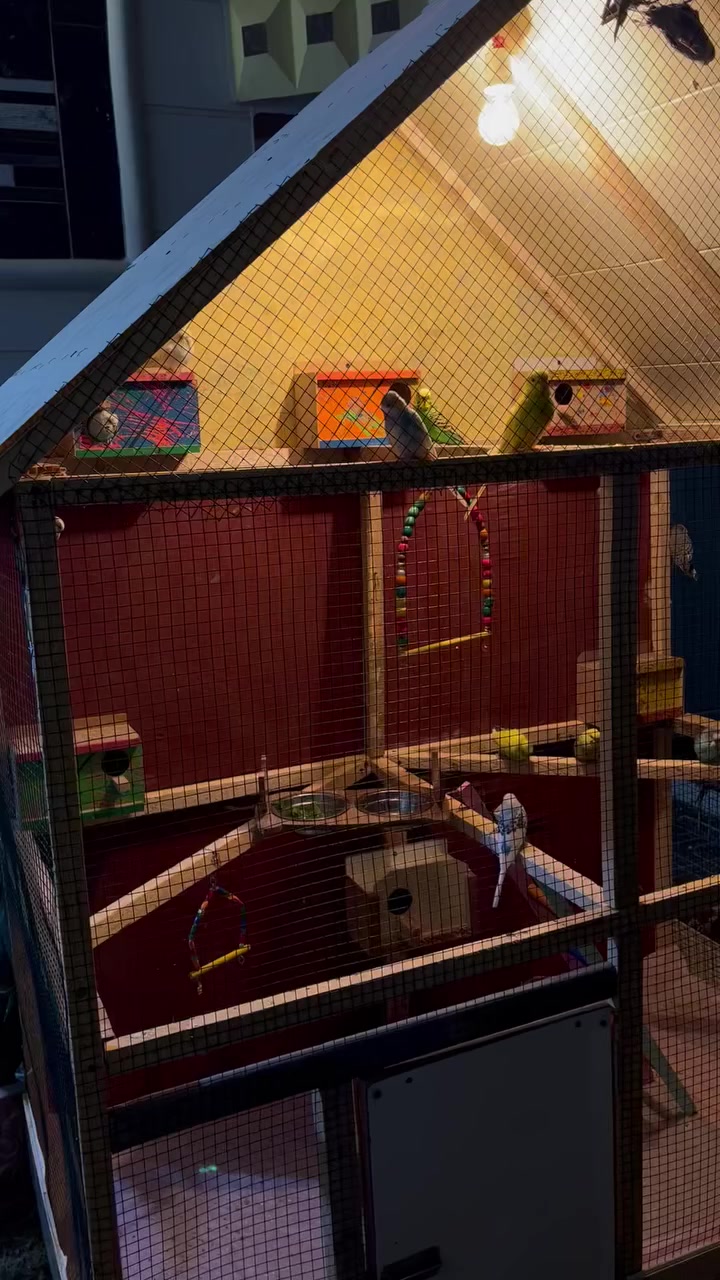 السلام عليكم قفص للبيع نضيف كلش صار شهر من سويته ويا 10 بيوت… ارتفاع 180 والعرض 140*80 الشراي يتفضل خاص ويدلل


**إذا كنت صاحب هذا الإعلان وتريد حذفه لأي سبب، رجاءا أرسل رسالة إلى الدعم الفني**