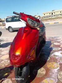 دراجة فراشة • مكفول • المجر الكبير