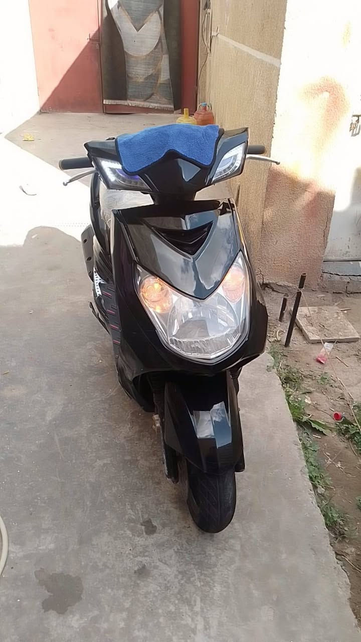 سكنس فحل البيع مكلف بل نشر 600 وبيه مجال ***********
