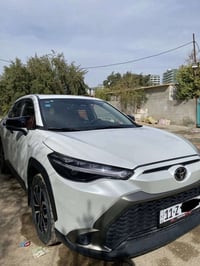 فروتلندر • ٢٠٢٥ • هايبرد