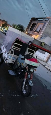 ستوته • اورجنال • ٢٠٢١