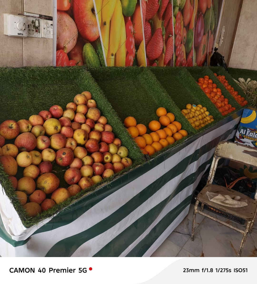 لسلام عليكم عارضات مخضر جدد حديد وخشب 4 اميوزه السعر 300


**إذا كنت صاحب هذا الإعلان وتريد حذفه لأي سبب، رجاءا أرسل رسالة إلى الدعم الفني**