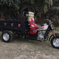 ستوته • توك توك • شطره