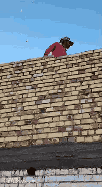 خلفه جميع لعمال البناا  تصال ***********
