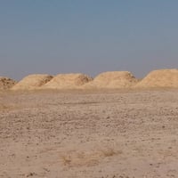 تبن • تبن للبيع • علف • علف حيوانات • تبن جديد • سعر تبن • تبن بسعر • ...