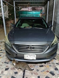 سوناتا • ٢٠١٦ • وارد امريكي