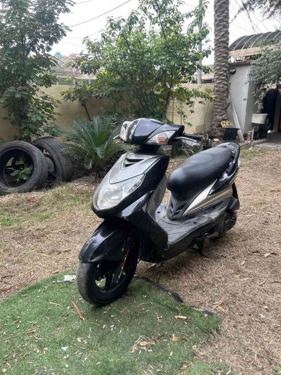 سكنس فحل كفاله عامه مابيها اي نقص جيب فيتر وتعال من باب البيت تاخذها مكاني بغداد الدوره السعر 650 ماكو بهيج سعر


**إذا كنت صاحب هذا الإعلان وتريد حذفه لأي سبب، رجاءا أرسل رسالة إلى الدعم الفني**