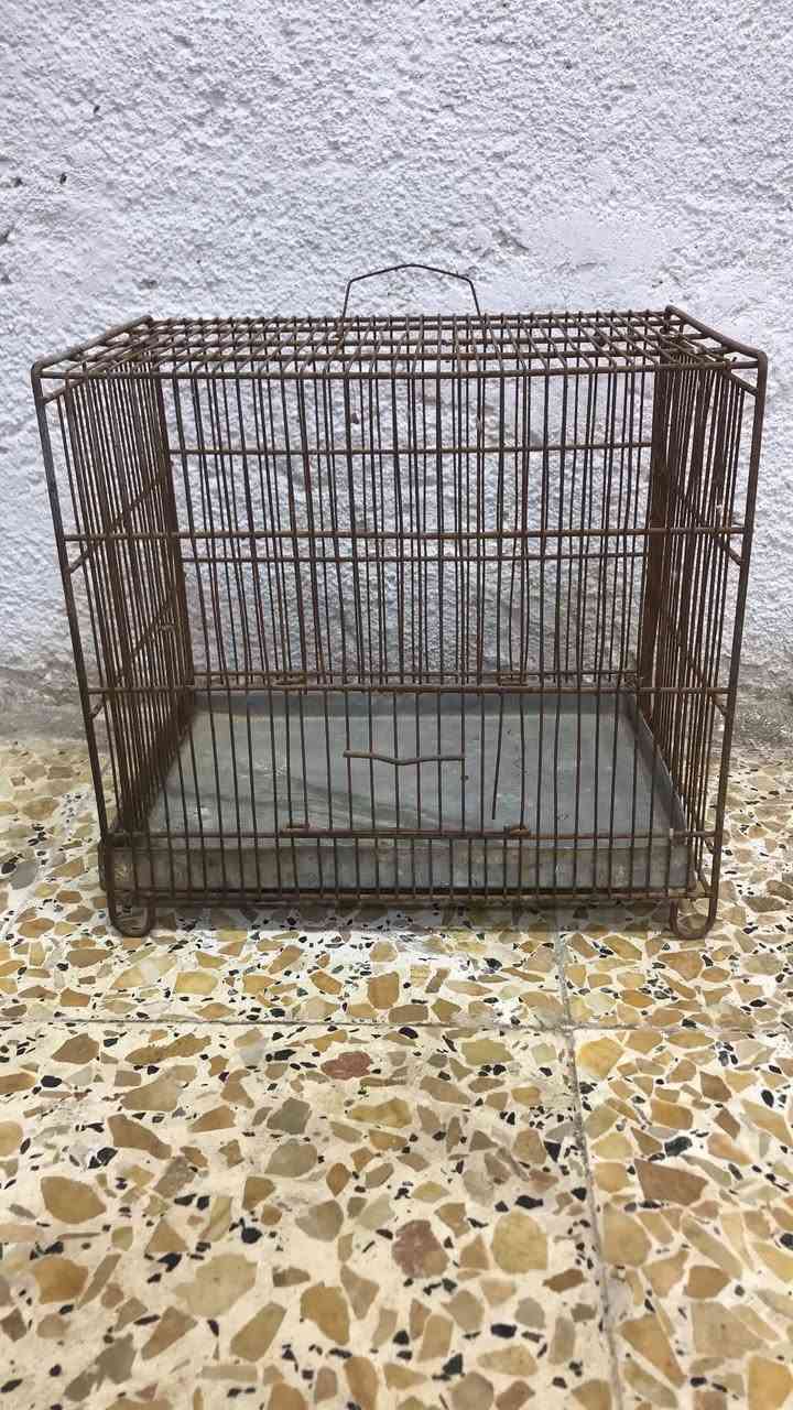 مرجوحه مع سلسله صفحتين حجم كبير


**إذا كنت صاحب هذا الإعلان وتريد حذفه لأي سبب، رجاءا أرسل رسالة إلى الدعم الفني**