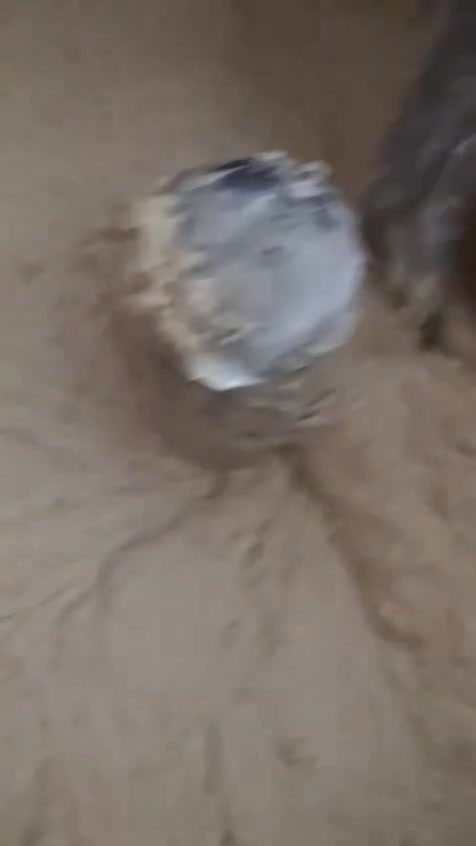 مجموعه غراض مستخدمه


**إذا كنت صاحب هذا الإعلان وتريد حذفه لأي سبب، رجاءا أرسل رسالة إلى الدعم الفني**
