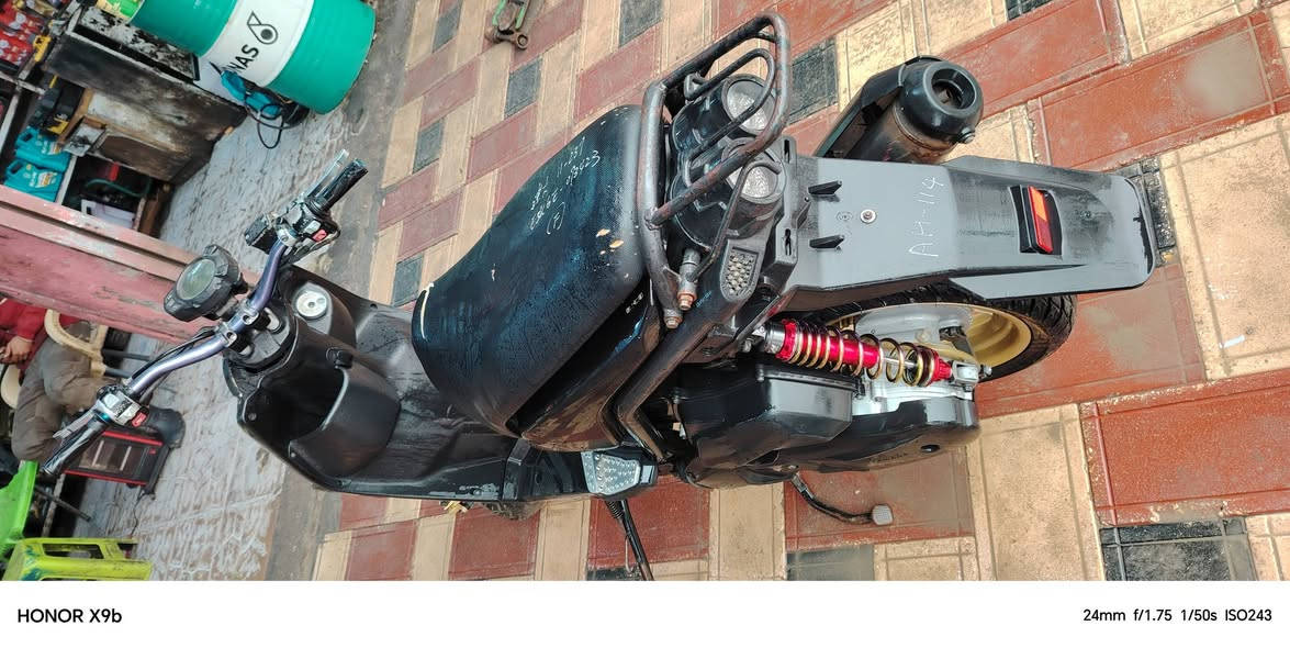 سلام عليكم سكنس جبلي بيها تزويد بلادي من الربه بصيط دراجه نضيه كلش ما مفتوحه مراوس حسب القناعه فقط مراوس مكان... ناصريه مركز ***********واتساب
