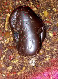 هبهاب • طاقه روحانيه • السماوه