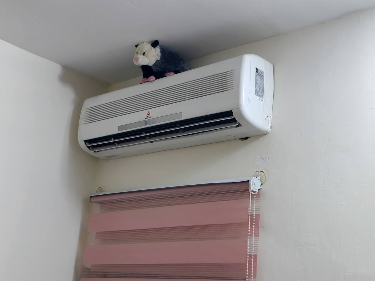 السلام عاليكم تنصيب سبالت☃️ بنواعة 50فتح وشد 60 شحن🔧 غاز 40 R22❄ شحن غاز 410R❄ فحص 15🔧 غسل وتفصيخ 30 وصيانه🚗 الاستفسار اتصال او🛻 واتساب او مراسلة الصفحة *********** 🛠➡️
