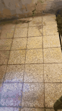 تم عمل ايرث BYDفي منطقه السيدية لادوخ اني اجيك للبيت للتواصل داخل بغداد فقط***********
