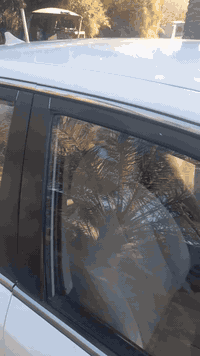 اوبتما٩ باسمي مشروع وطني *********** بيه قبق صندوق مبدل فقط محرك ٢٠٠٠ مشروط وكير بشرط حداديه وصدر شرط
