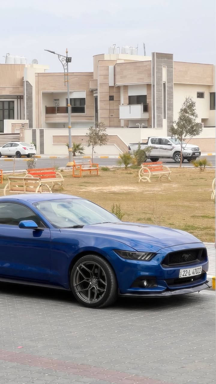 عندي هذه ويل قياس 20 مراوس ويه ويل 
ويلد 18 
مكاني بصرة 
***********
