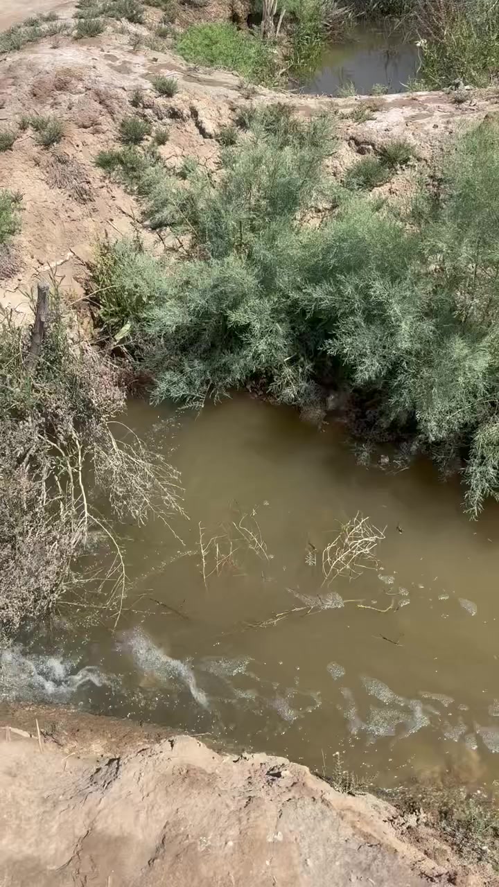 يعلن مكتب بركات العقيلة في منطقة الجمالية عن وجود دوانم طابو سند ٢٥ سعر الدونم يتراوح من ٤٥ مليون الى ٦٠ مليون حسب موقعه وخدمات الدونم كهرباء ممتده مع الواجهة وماء سقي متوفر على مدار السنة للاستفسار 
عنوان المكتب كربلاء الحر الجمالية قبل ماتوصل شركة كآله هاتف ***********
والله ولي آلتوفيق
