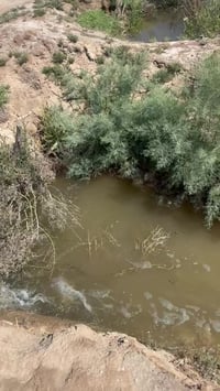 كربلاء الحر الجمالية • ٢٥ دونم • طابو سند