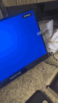 عيوني شاشه مثل ماوضح بل فديو انطوني سعر بيها وبب عافيه عليكم مو تكسر سعرها هاذا رزقي


**إذا كنت صاحب هذا الإعلان وتريد حذفه لأي سبب، رجاءا أرسل رسالة إلى الدعم الفني**