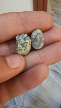 زوج • ما مجروخ • توصيل