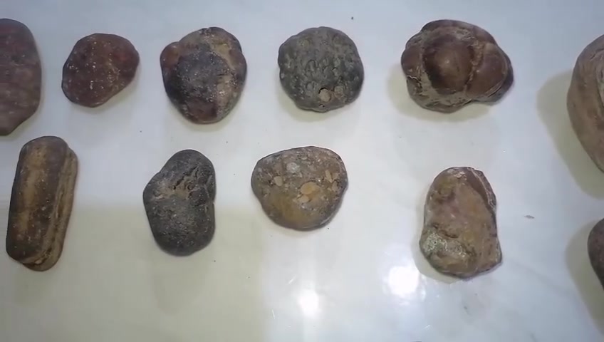قبل قليل وصلن بعدهم بدون تنظيف 
البيع للكل 
تواصل واتساب 
‎***********
