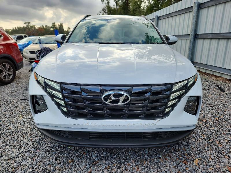 السلام عليكم متابعين صفحتنا الأعزاء
(هونداي توكسان)

📌المديل:2024
📌المسافه:10.464ميل حقيقي 
📌الضرر: الجانب 
📌اللون: ابيض 
📌مفاتيح السيارة: متوفر
📌المحرك: اربعه سليندر
📌رقم الشاصي: 
📌5NMJB3DE8RH428479
📌الوقود: بنزين
📌موعد المزاد:(13_2_2026)⏱️الساعه 6:00 مساءاً
📌(عندك كتاب شهداء او كتاب ضباط لا تضيع فرصتك)

📌سعر الشراء المباشر: مزاد فقط
__________________________________________________
⭕️الوكيل الحصري لشركة نجوم اربيل
العنوان: الكوت_حي الجهاد_خلف مدرسة رمضان المبارك للبنين
📞لتواصل_عبر صفحتنا الفيس البوك_او الأتصال بالارقام التاليه
(***********-***********)
