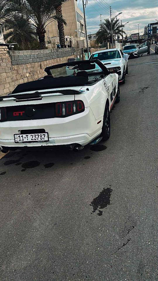 موستنك ٢٠١٠
75$
لتواصل ***********
