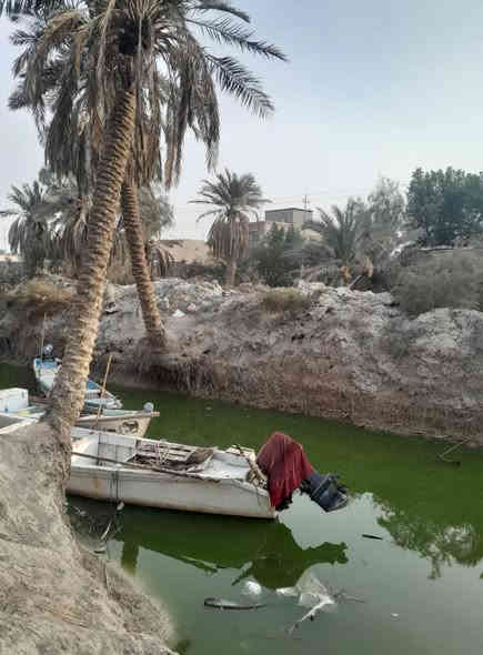 بستان وبيه 3 ابيوت في ابو الخصيب
السلام عليكم - بستان وبيه 3 ابيوت طابو صرف يتحول بسم المشتري  مساحه 1665م سعره 320 وبيه مجال اي استفسار اتصال او واتساب ***********
