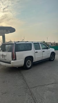 سوبربان • ٢٠٠٨ • أربيل