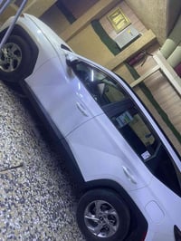 ويل كب • توسان ٢٠٢٤ • مراوس