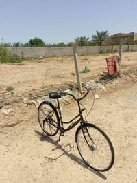 ياباني • بناتي • حجم ٢٦