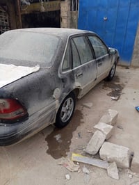 فراشة • ١٩٩٦ • رقم نجف