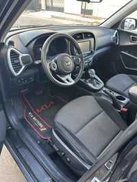 سيلتوس • ٢٠٢١ • بدون صبغ