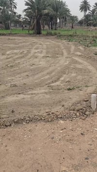 العلوية شريفة بنت الحسن • ٤٠٠م • طابو زراعي