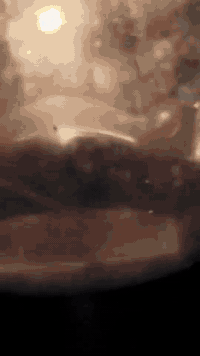 بوليس  دراجه خير من الله بلاديه برغي مامفتوح بيه تجي وشوف ماناقصه ايشي...