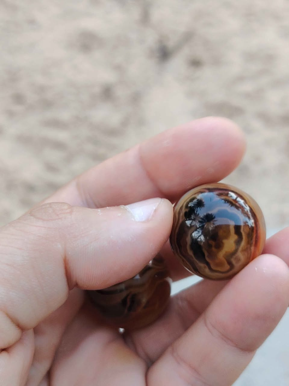 نثيه وفحل مصورات تصوير واضح لاصحا التحف المحاويل, بابل


**إذا كنت صاحب هذا الإعلان وتريد حذفه لأي سبب، رجاءا أرسل رسالة إلى الدعم الفني**
