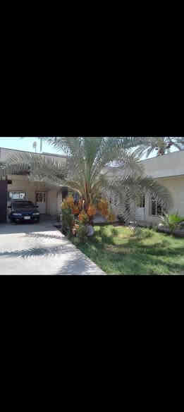 بيت لبيع طابو ملك صرف مساحته لبيت 500 متر لبيت يحتوي على 4 غرف نوم ومطبخ وهول وحمام  داخلي وستغبال خارجي وصحيات خارجيه لعنوان لجعاره يم لغابات مغابيل لمطاعم مغابيل مطعم حجي زوين ومطعم كرم المداءن يبعد عن لشارع لعام 100 لسعر 400 وبي مجال هاذ رقمي بي واتساب ***********
