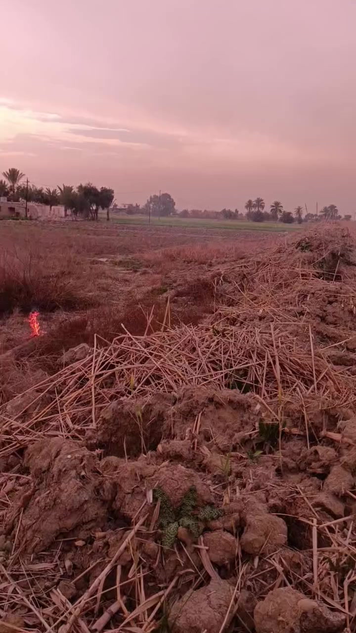 دوانم للبيع بغداد البصام عقد ١١٧ تقطيع حسب الطلب من دونمين ونص وفوك اتصل وتدلل *********** سعر الدونم ٢٥
