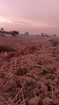 دوانم للبيع بغداد البصام عقد ١١٧ تقطيع حسب الطلب من دونمين ونص وفوك ات...